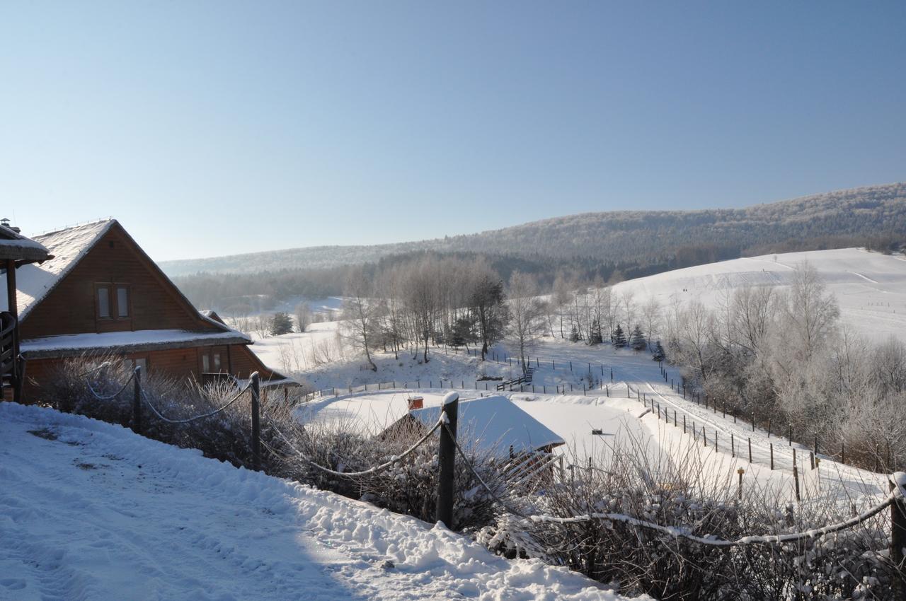 Отель Bieszczadzki Osrodek Wypoczynkowo Konferencyjny Danfarm Устшики-Дольне Экстерьер фото